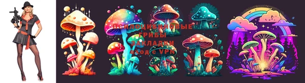 MDMA Богданович